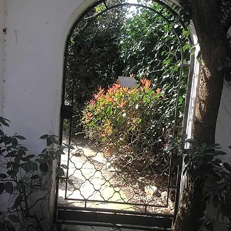 Bed and Breakfast Des T Αρασόν